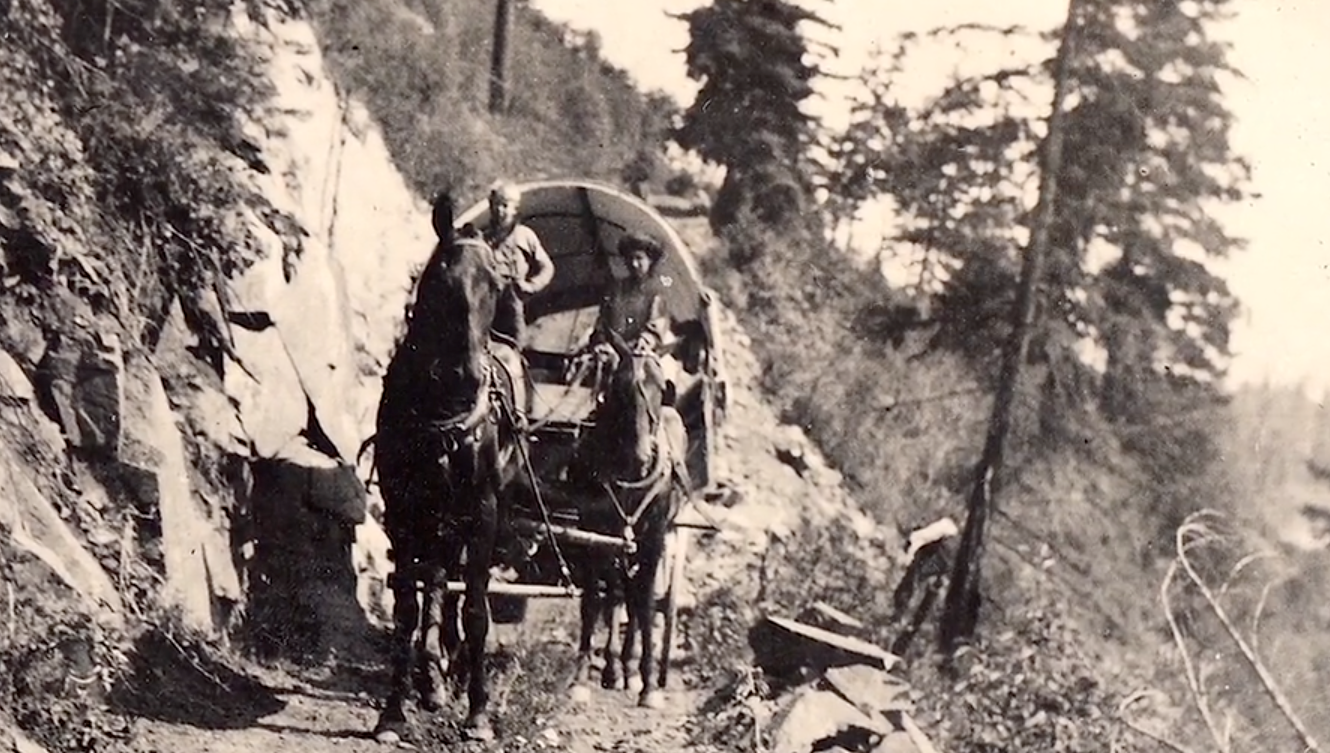 Another section of content